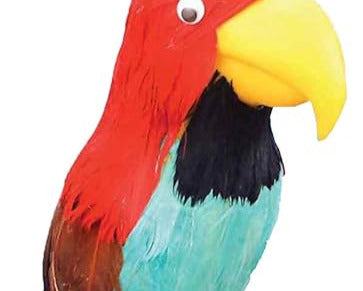 PARTY ACCESSORIES