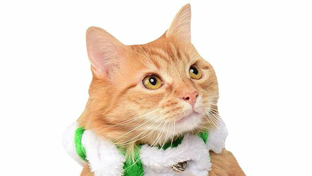Rubie's Christmas Pet Candy Stripe Scrunchie Collar, Green/White