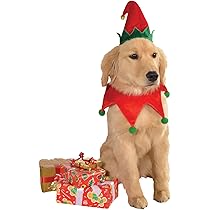 Rubies Elf Pet Hat with Faux Tiara for Dogs or Cats, M/L