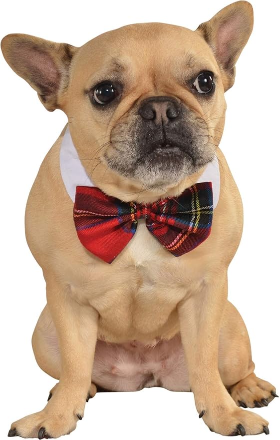 Rubie’s Red Plaid Pet Christmas Bowtie (Small/Medium)