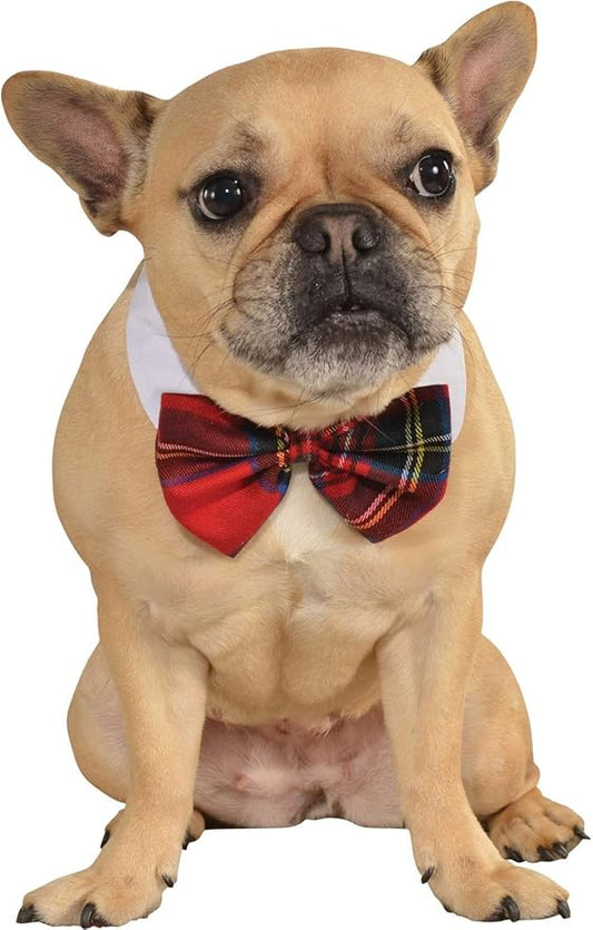 Rubie’s Red Plaid Pet Christmas Bowtie (Small/Medium)