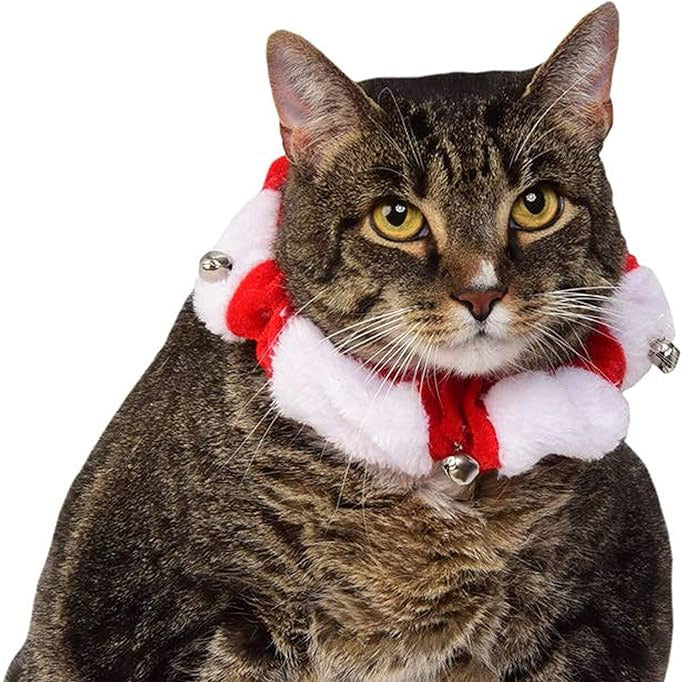 Rubie's Christmas Pet Scrunchie Collar, Small to Medium, Red and White