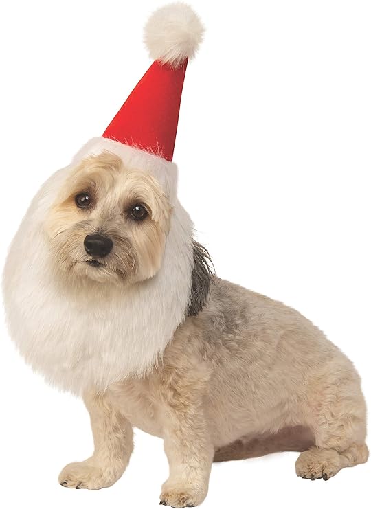 Rubie's Christmas Collection Santa Claus Hat and Beard for Pets