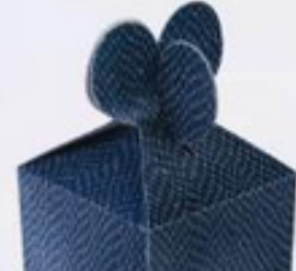 RB SNAKE SKIN GIFT BX