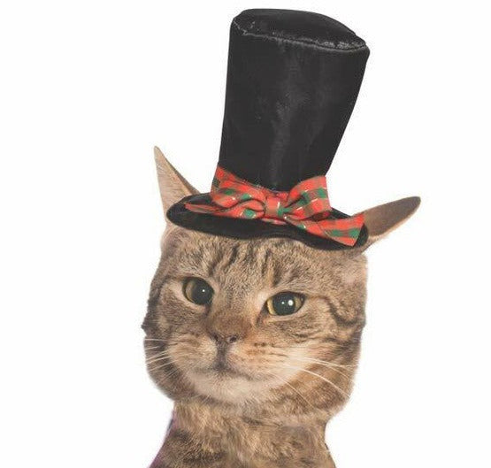 Rubie’s Christmas Pet Costume, Small to Medium, Caroler Hat